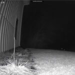 screenshot of security camera footage